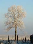 Sandra Bos, Winter in aantocht
