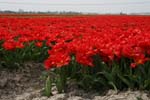 E. Blokzijl